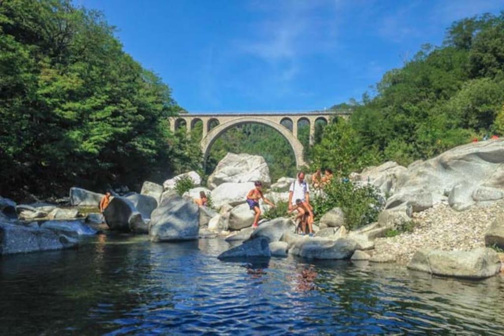 Anduze Gite Les Pins Au "Petit Clos Des Cigales" Massillargues-Attuech Экстерьер фото